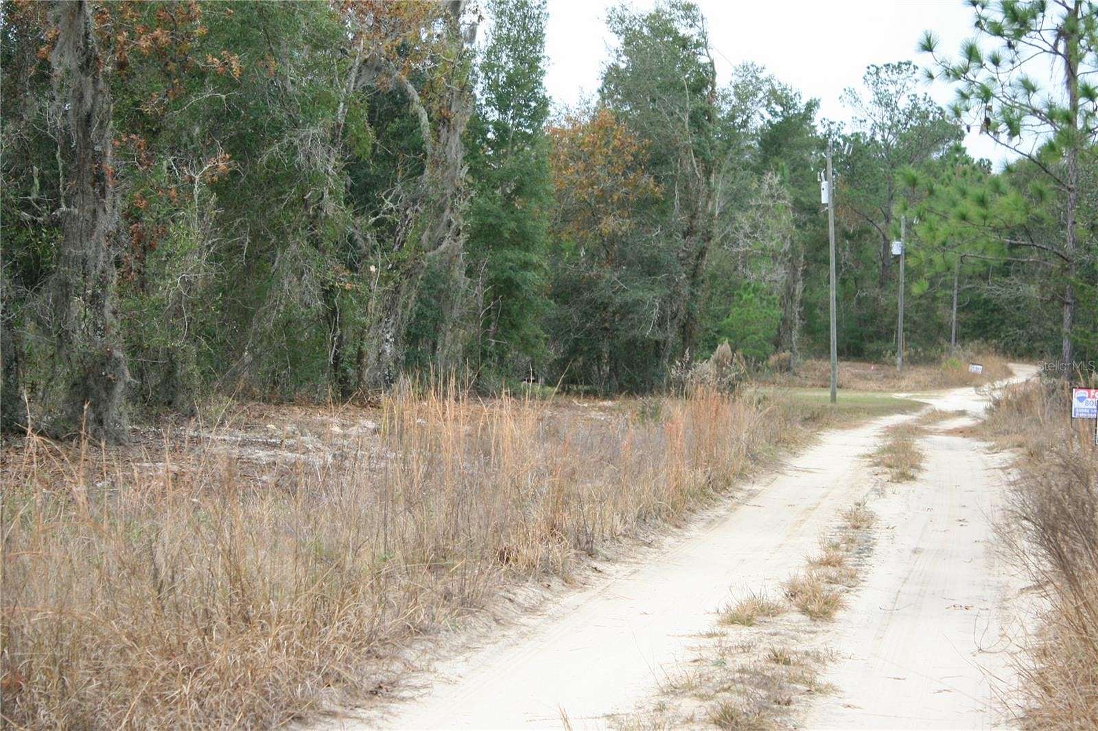0.23 Acres of Land for Sale in Bronson, Florida