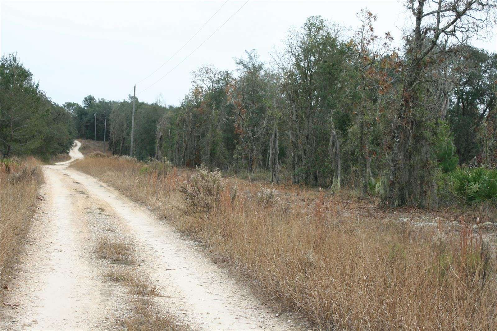 0.69 Acres of Land for Sale in Bronson, Florida