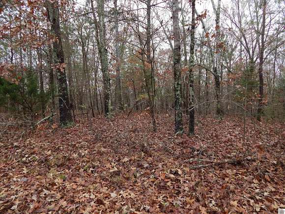 0.39 Acres of Residential Land for Sale in New Concord, Kentucky