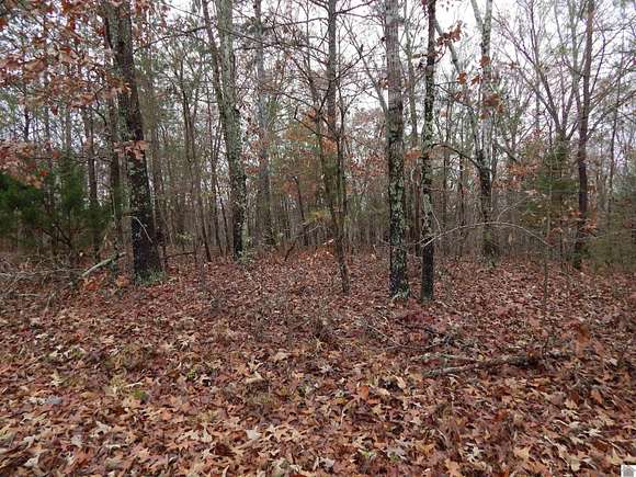 0.39 Acres of Residential Land for Sale in New Concord, Kentucky