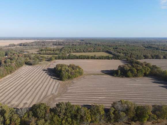 18.5 Acres of Recreational Land & Farm for Sale in Pelahatchie, Mississippi