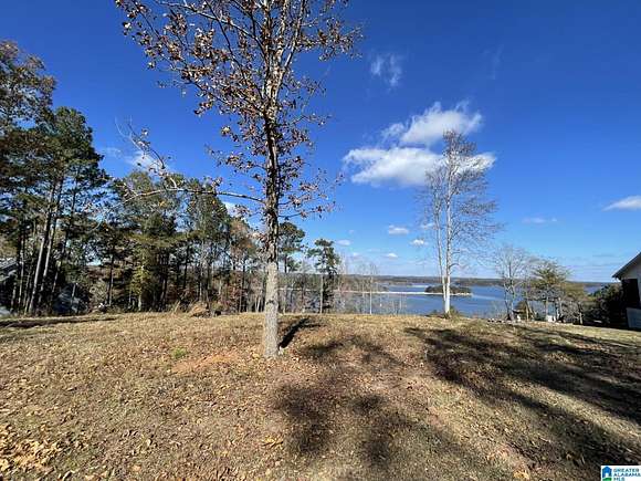 1.1 Acres of Residential Land for Sale in Lineville, Alabama