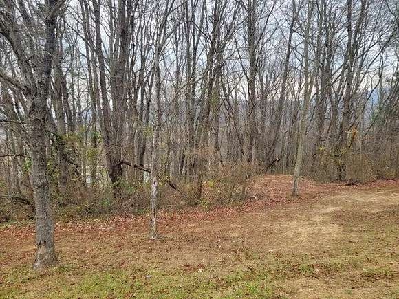 0.88 Acres of Residential Land for Sale in Peterstown, West Virginia