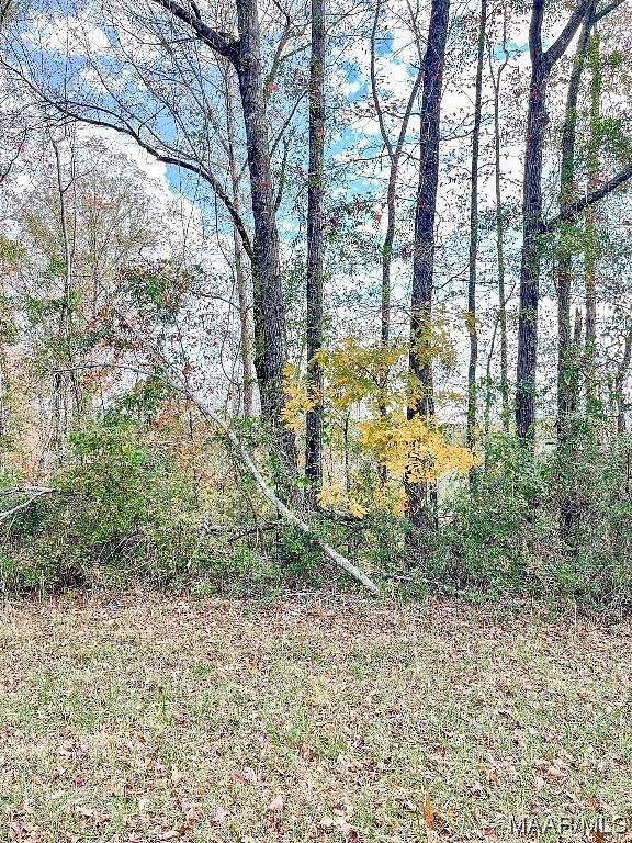 4 Acres of Residential Land for Sale in Autaugaville, Alabama