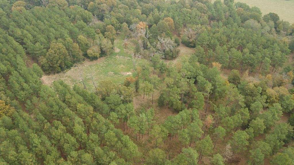 32.7 Acres of Recreational Land for Sale in Tennessee Colony, Texas