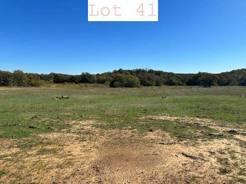 8.777 Acres of Agricultural Land for Sale in Santo, Texas