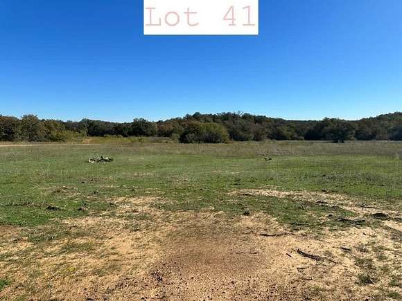 8.8 Acres of Agricultural Land for Sale in Santo, Texas