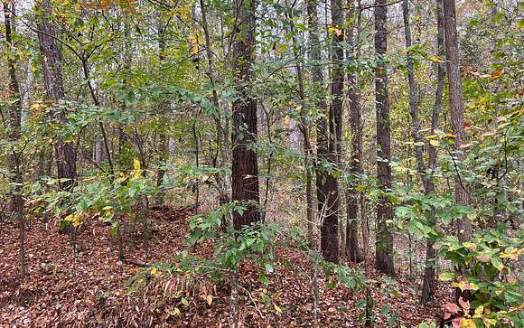 14 Acres of Recreational Land for Sale in Sugar Valley, Georgia