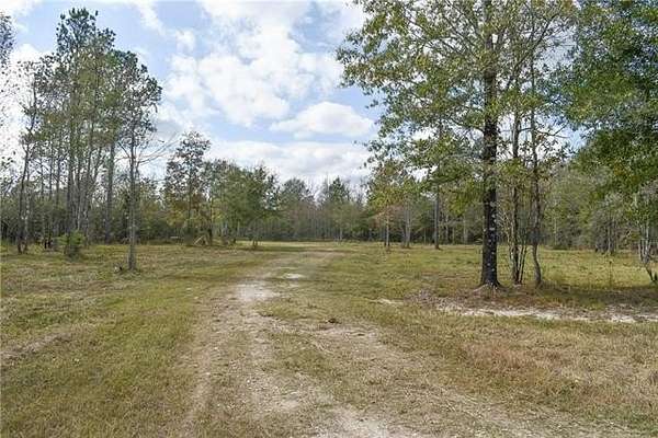 4.27 Acres of Residential Land for Sale in Livingston, Louisiana