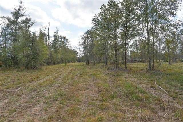 4.22 Acres of Residential Land for Sale in Livingston, Louisiana