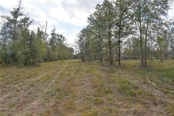 4.22 Acres of Residential Land for Sale in Livingston, Louisiana