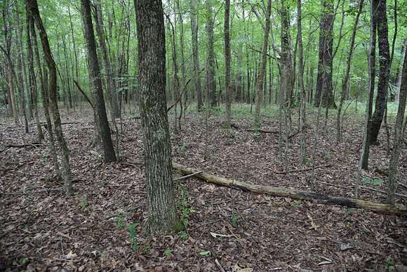 5 Acres of Recreational Land for Sale in Hardin, Kentucky
