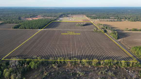 77 Acres of Land for Sale in Elberta, Alabama