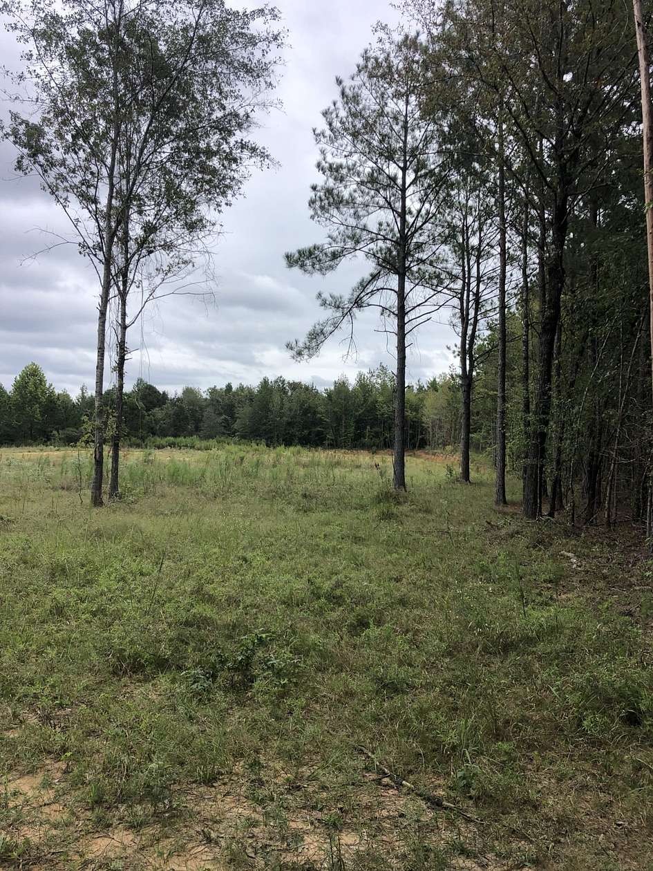 130 Acres of Recreational Land for Sale in Stephens, Arkansas
