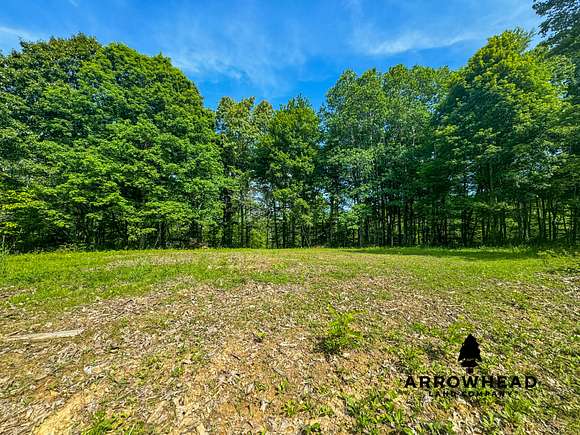 40 Acres of Land for Sale in Corning, Ohio