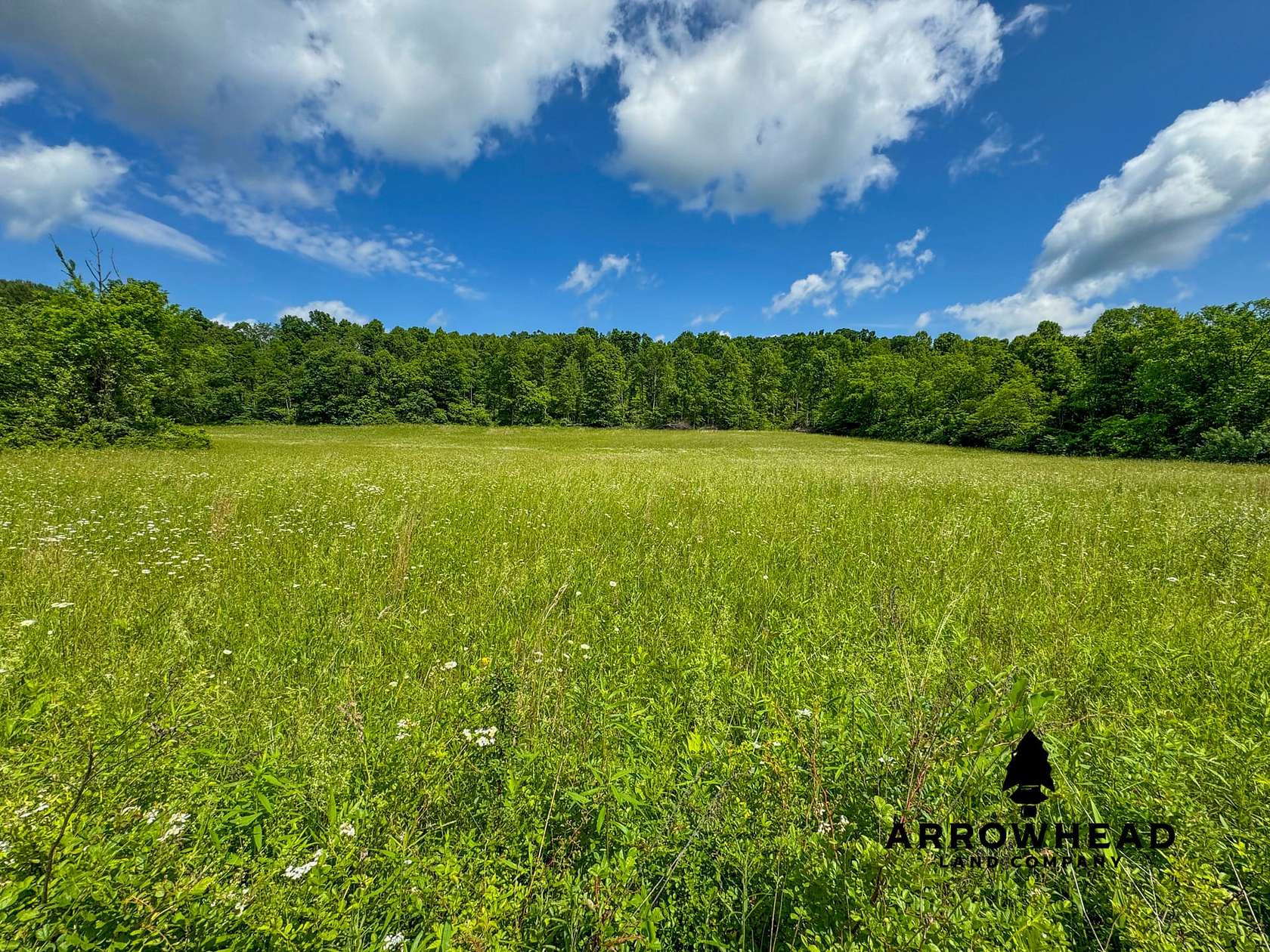 61 Acres of Land for Sale in Corning, Ohio