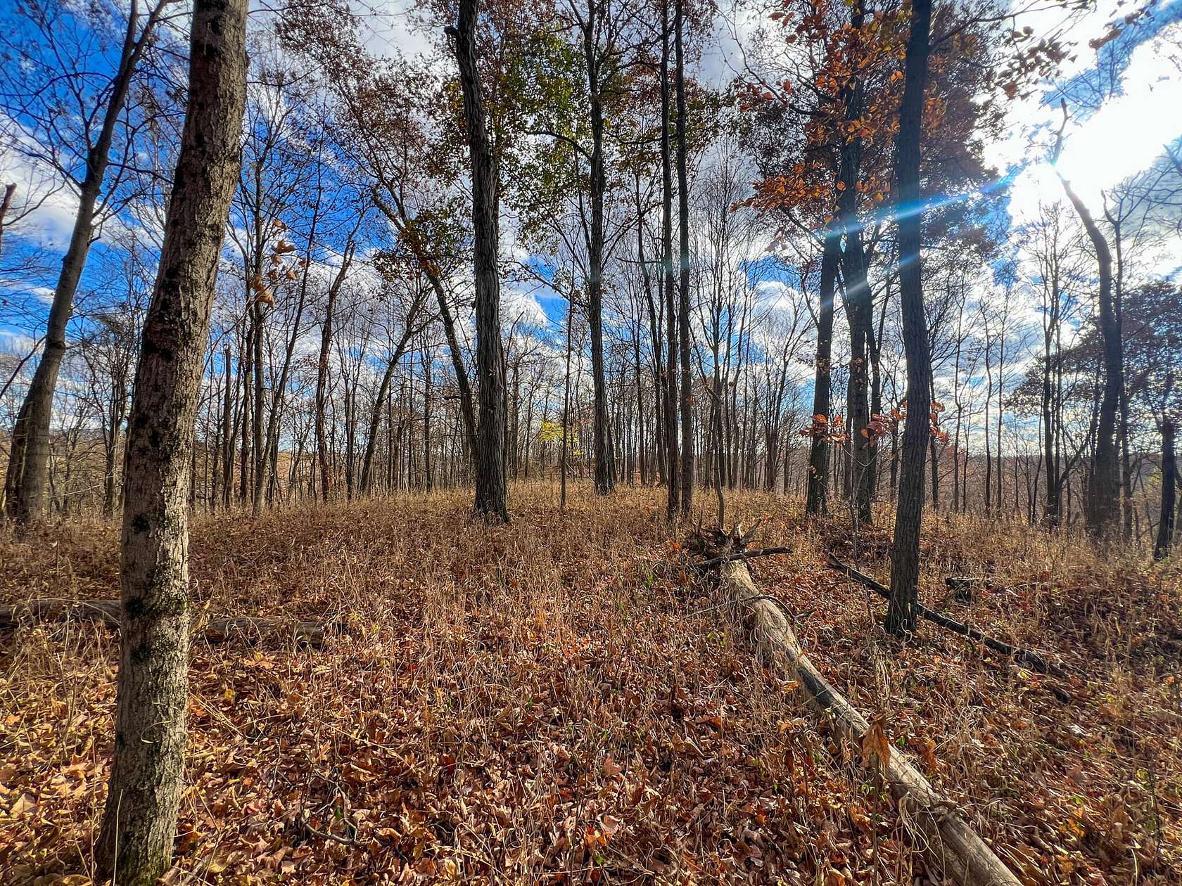 34 Acres of Recreational Land for Sale in New Matamoras, Ohio