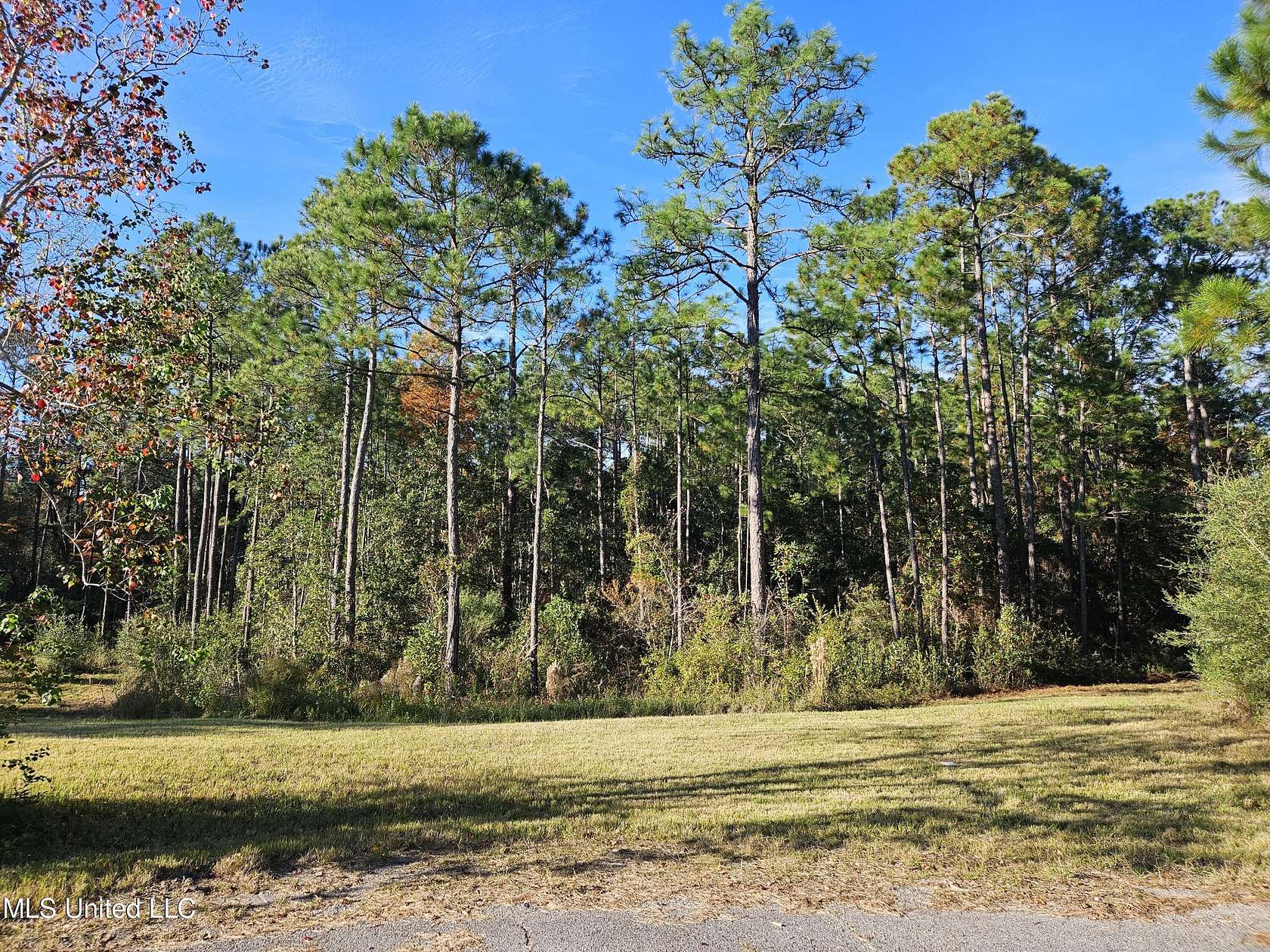 1.9 Acres of Residential Land for Sale in Biloxi, Mississippi
