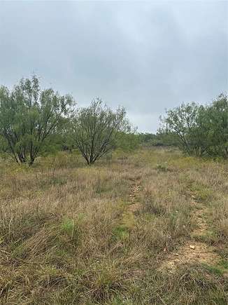 0.22 Acres of Land for Sale in Brownwood, Texas