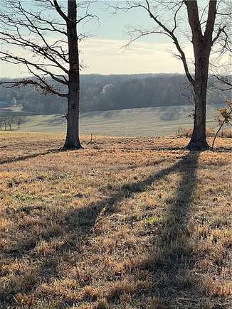 32.8 Acres of Land for Sale in Gentry, Arkansas