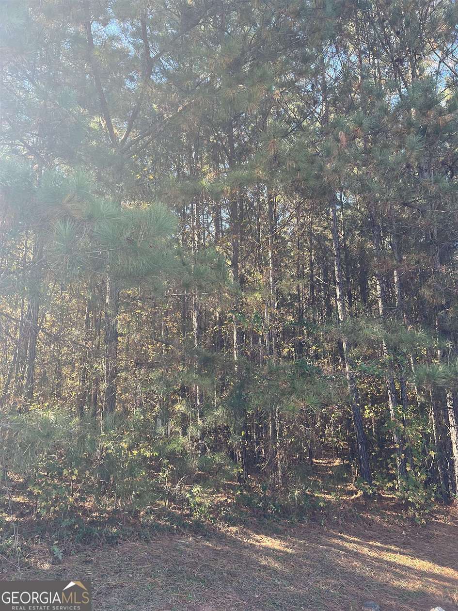 1.3 Acres of Residential Land for Sale in Forsyth, Georgia