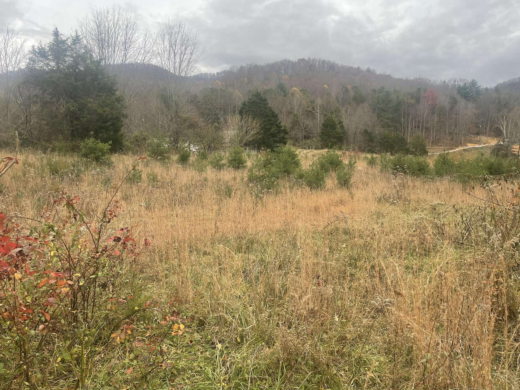 6.4 Acres of Residential Land for Sale in Elizabethton, Tennessee