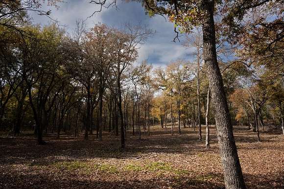 2 Acres of Residential Land for Sale in Bowie, Texas