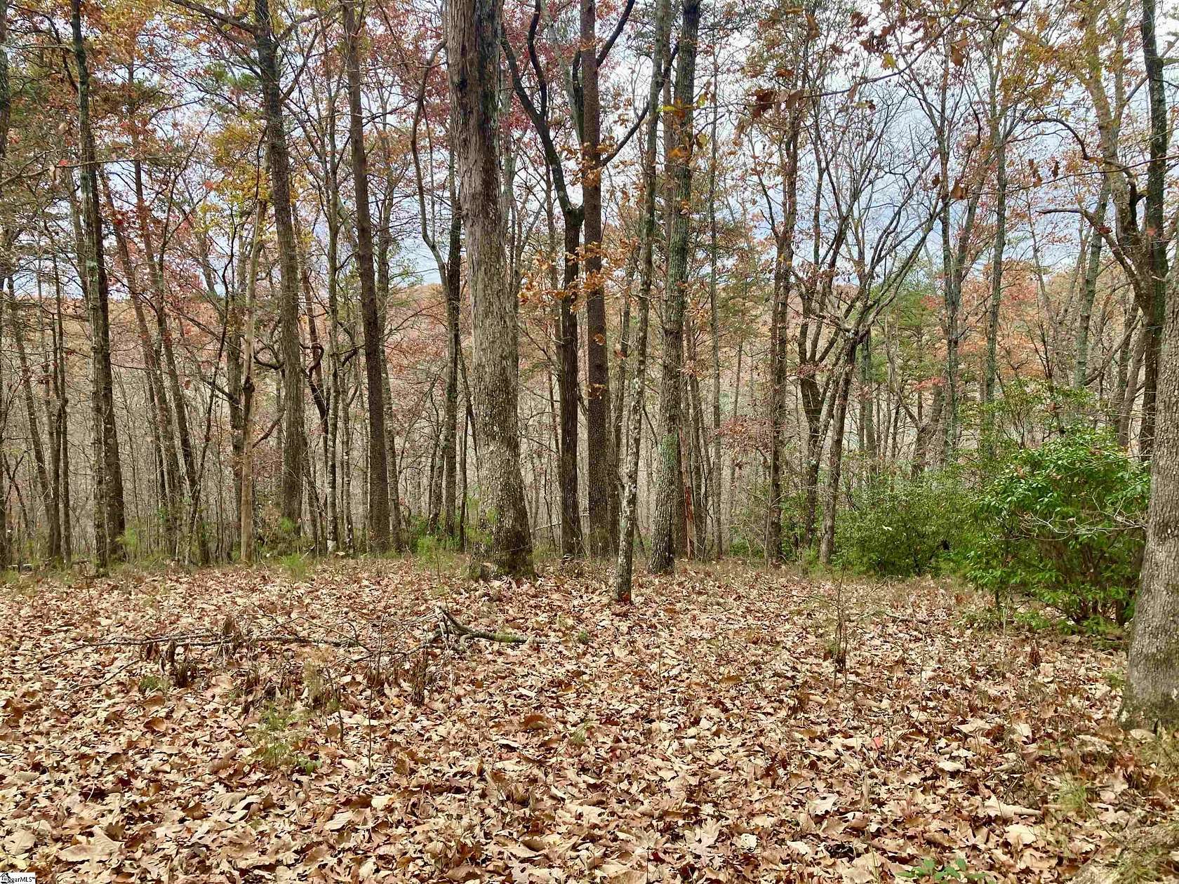 2.4 Acres of Residential Land for Sale in Marietta, South Carolina