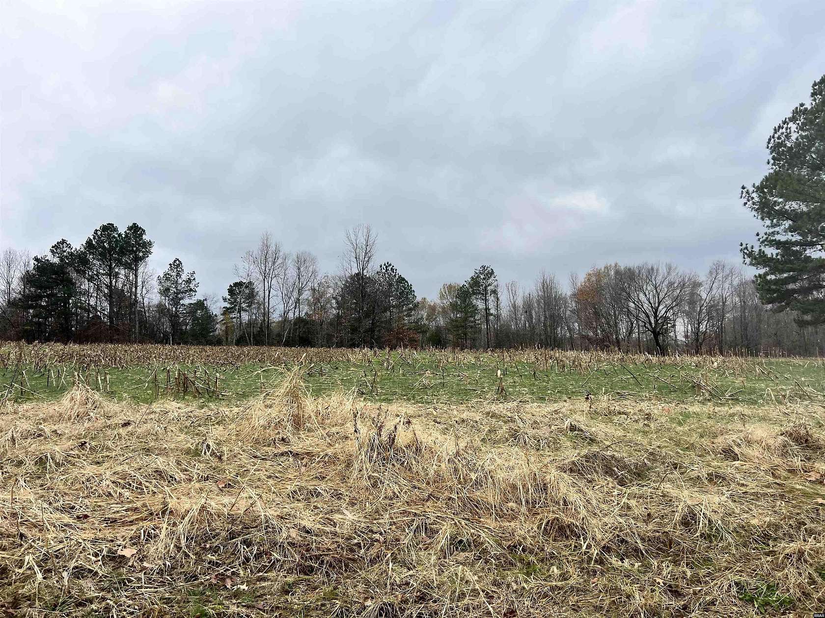 63 Acres of Agricultural Land for Sale in Dukedom, Tennessee