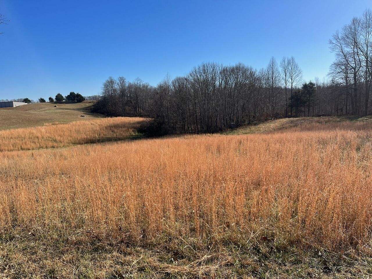 5.5 Acres of Land for Sale in Nancy, Kentucky