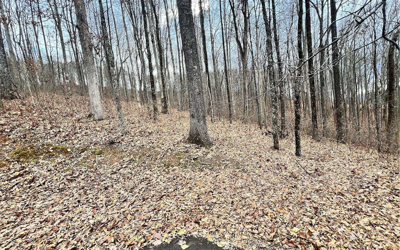 1 Acre of Residential Land for Sale in Hiawassee, Georgia