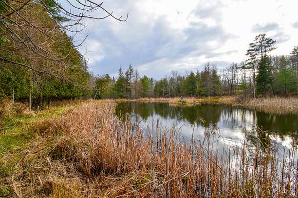 17 Acres Of Recreational Land For Sale In Cambridge Maine LandSearch   Cambridge Me 111873860 