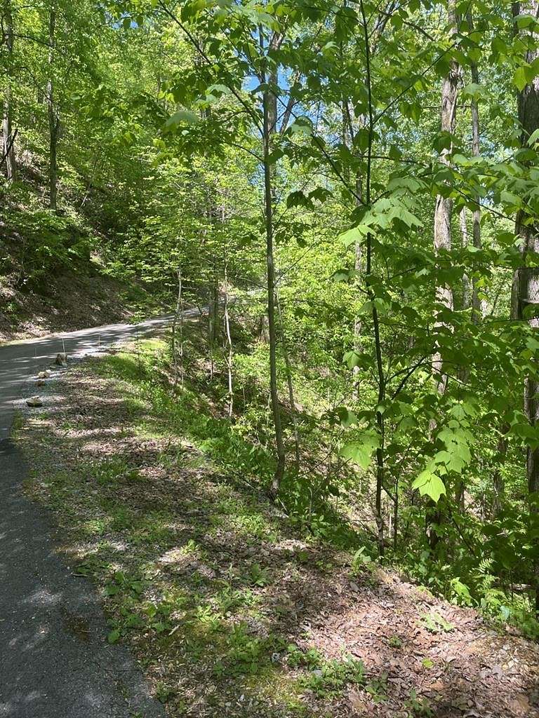 5.4 Acres of Residential Land for Sale in Townsend, Tennessee