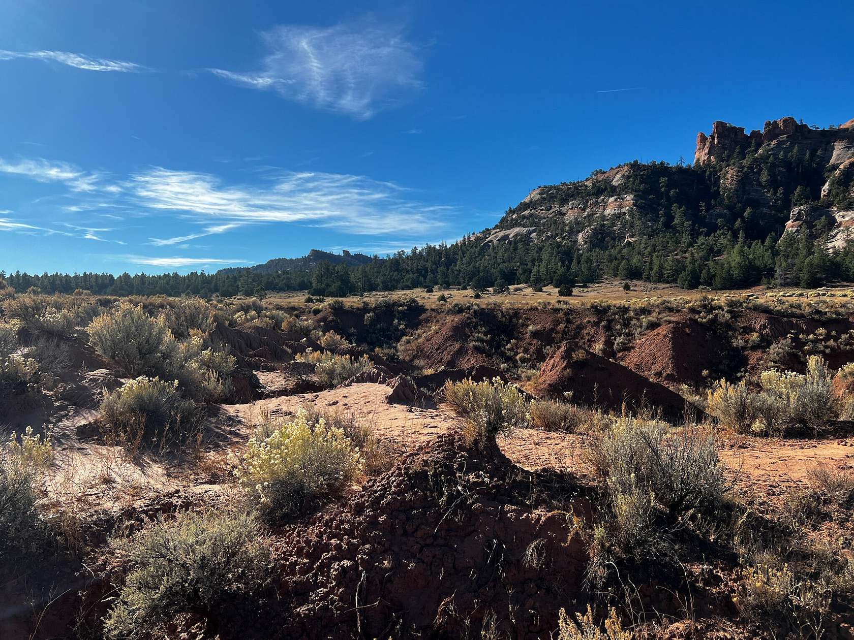 15 Acres of Recreational Land for Sale in Ramah, New Mexico