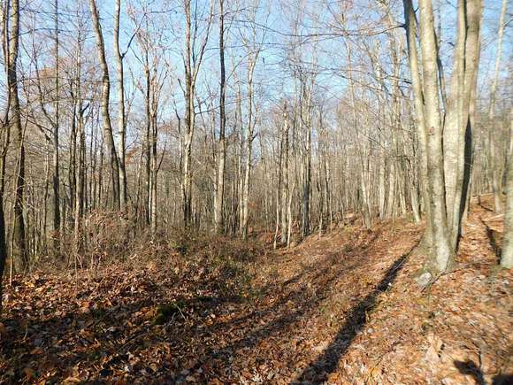 3.8 Acres of Residential Land for Sale in Terra Alta, West Virginia