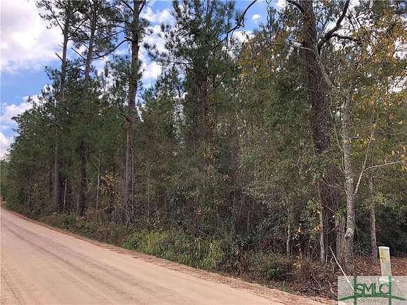 29.8 Acres of Land for Sale in Brooklet, Georgia