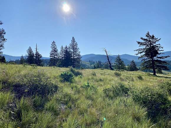 20 Acres of Recreational Land & Farm for Sale in Republic, Washington