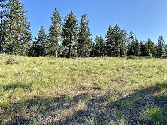 20 Acres of Recreational Land & Farm for Sale in Republic, Washington