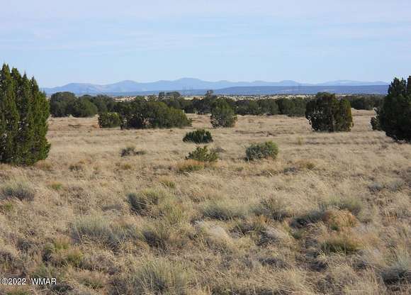 38 Acres of Land for Sale in Concho, Arizona