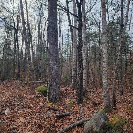 10 Acres of Residential Land for Sale in Deblois, Maine