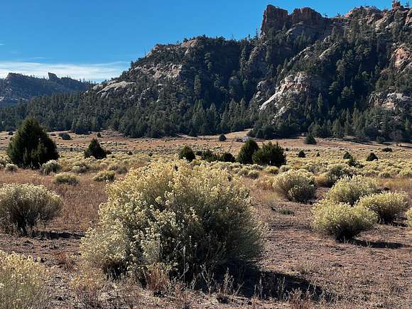 10 Acres of Recreational Land for Sale in Ramah, New Mexico
