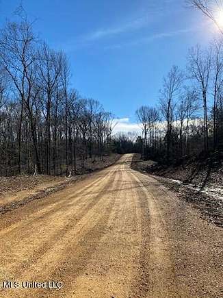 29.2 Acres of Land for Sale in Coldwater, Mississippi