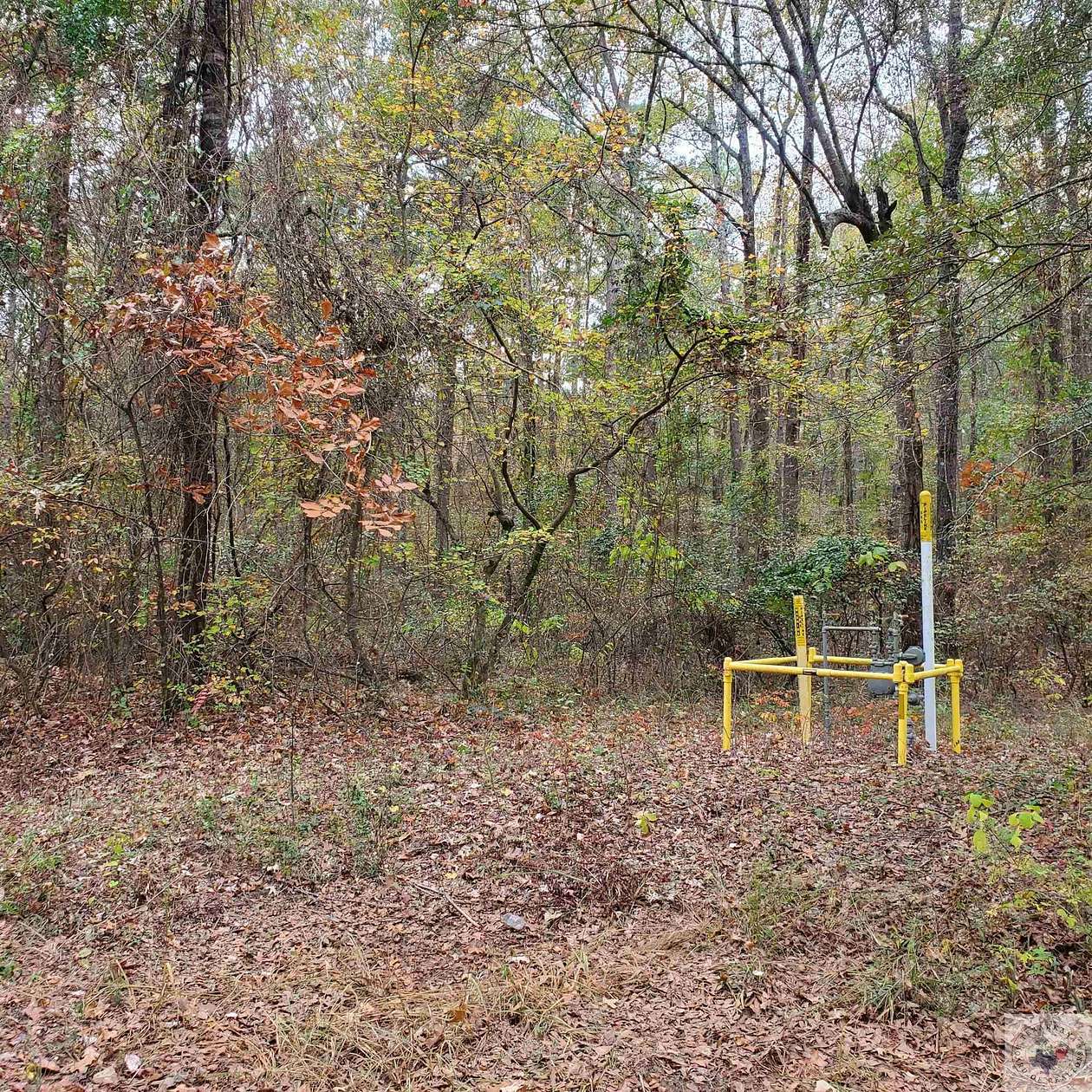 60.5 Acres of Recreational Land for Sale in Fouke, Arkansas