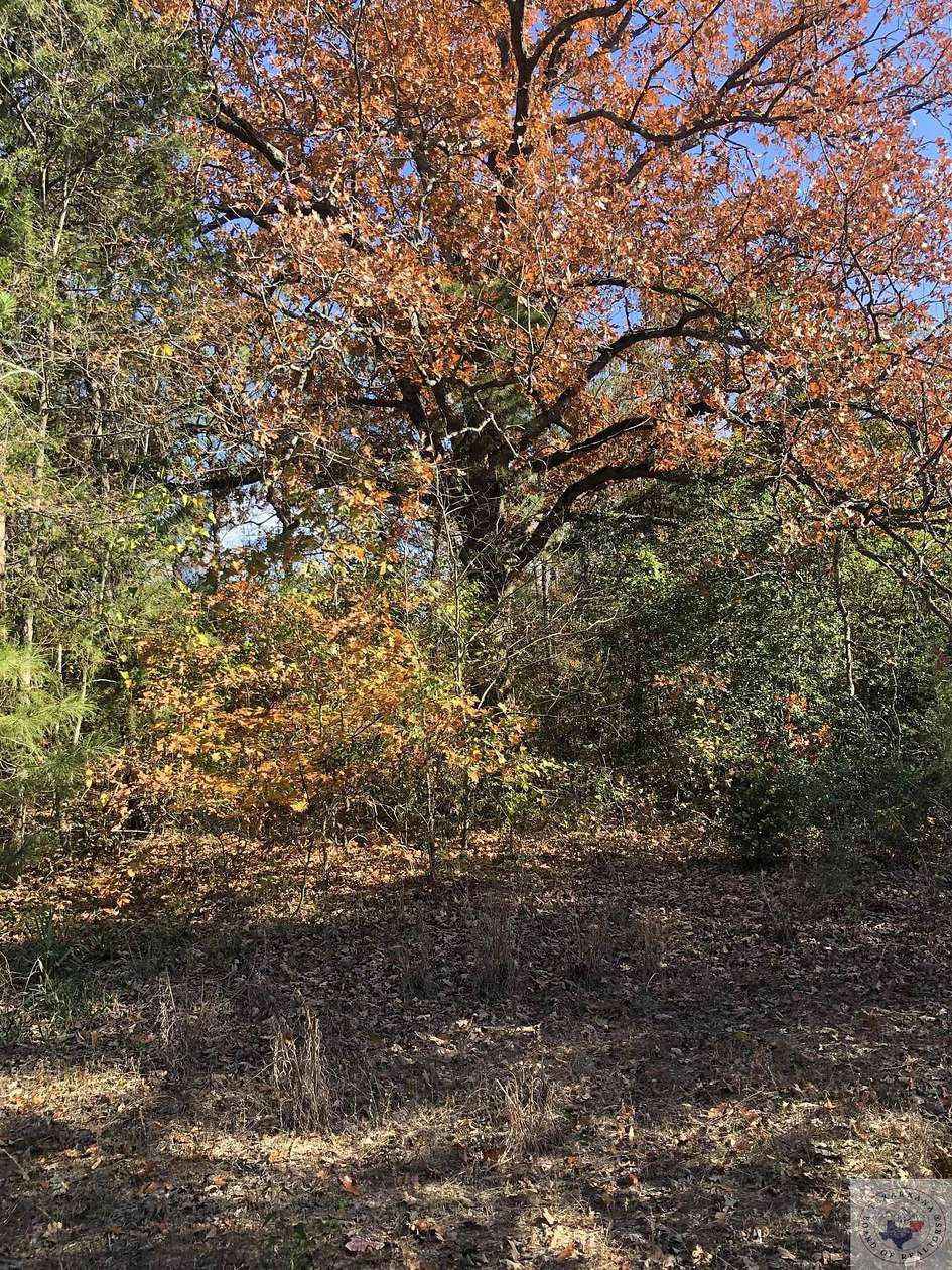 10.8 Acres of Land for Sale in Marshall, Texas