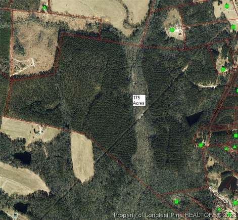175 Acres of Recreational Land for Sale in Cameron, North Carolina