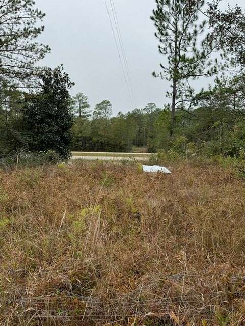 16.5 Acres of Commercial Land for Sale in Poplarville, Mississippi