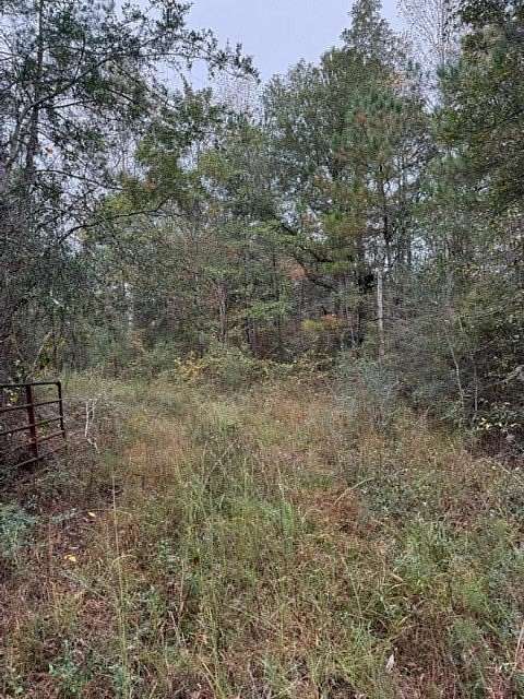 16.5 Acres of Commercial Land for Sale in Poplarville, Mississippi