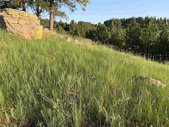 13.2 Acres of Land for Sale in Whitewood, South Dakota