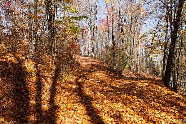 3.26 Acres of Land for Sale in Scaly Mountain, North Carolina
