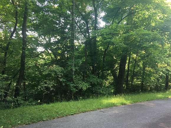 0.7 Acres of Residential Land for Sale in Franklin Township, North Carolina